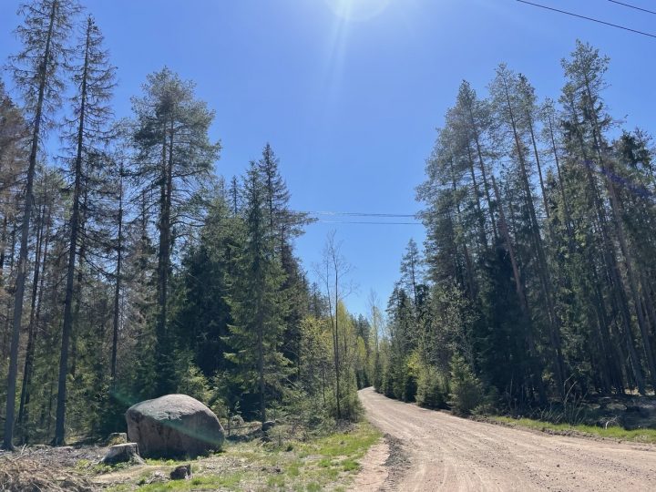 Камень у поворота в посёлок