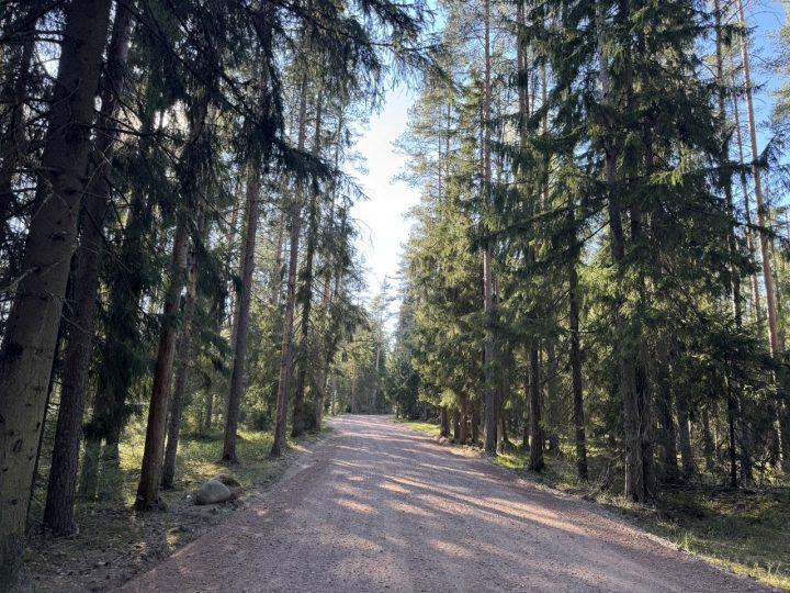 Ремонт дороги в мае 2026