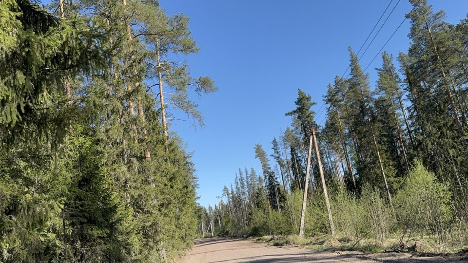 Ремонт дороги в мае 2026