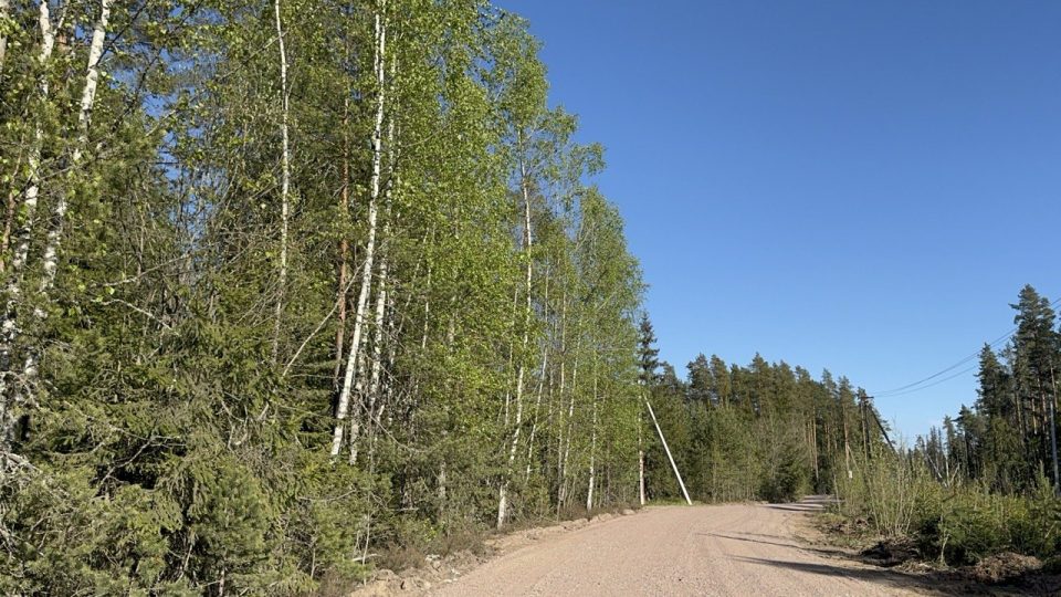 Ремонт дороги в мае 2026