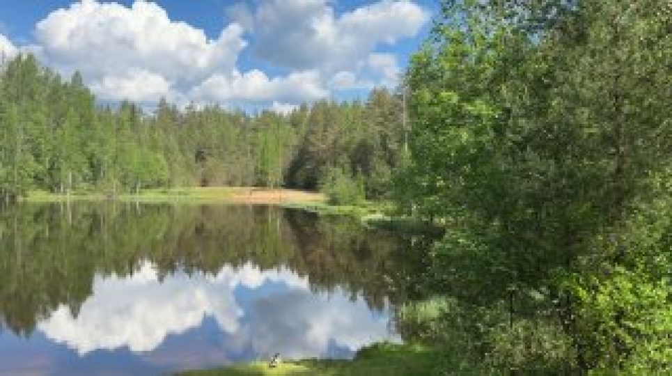 Озеро в Яковлево