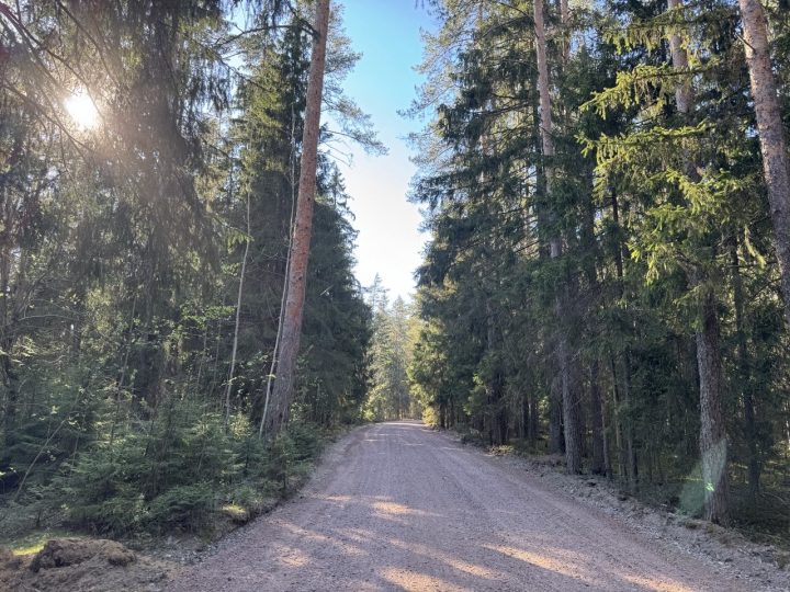 Ремонт дороги в мае 2026