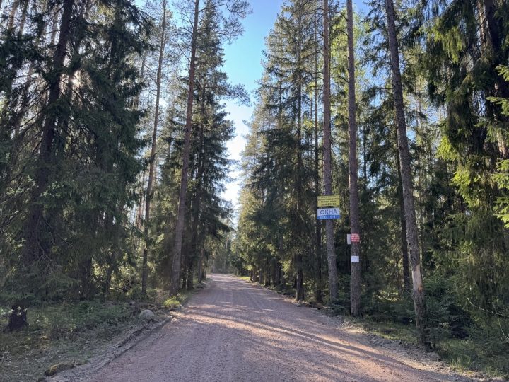 Ремонт дороги в мае 2026